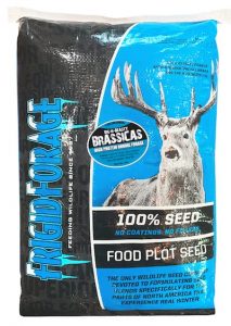 BNB-WHITE__18549.1565112411