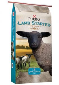Product_Sheep_Purina-Lamb-Starter