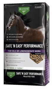 safe-n-easyperformance